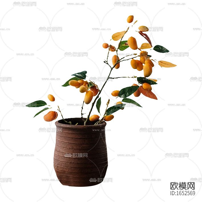 新中式陶瓷花瓶芒果树花艺
