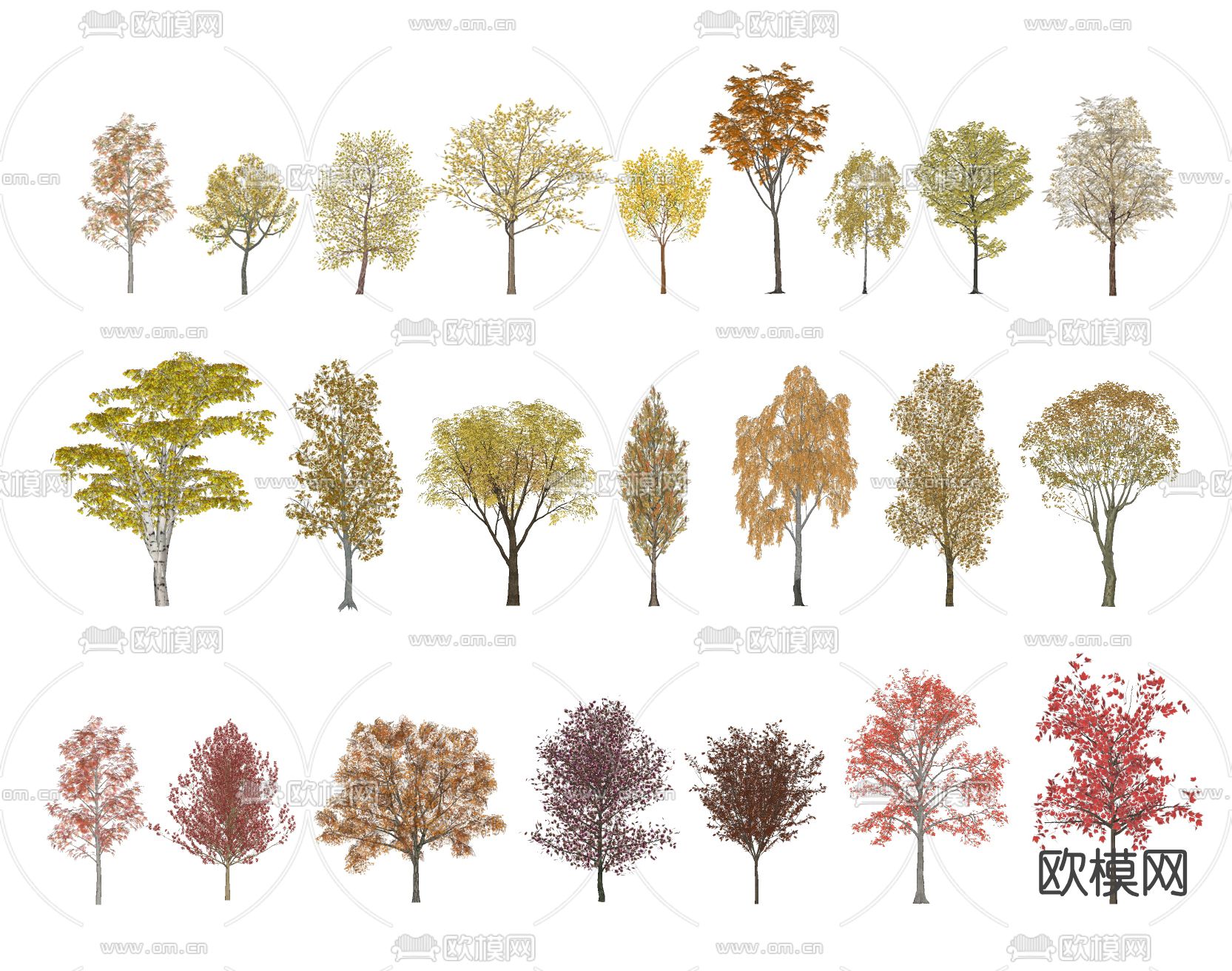 现代景观树秋季树su模型下载