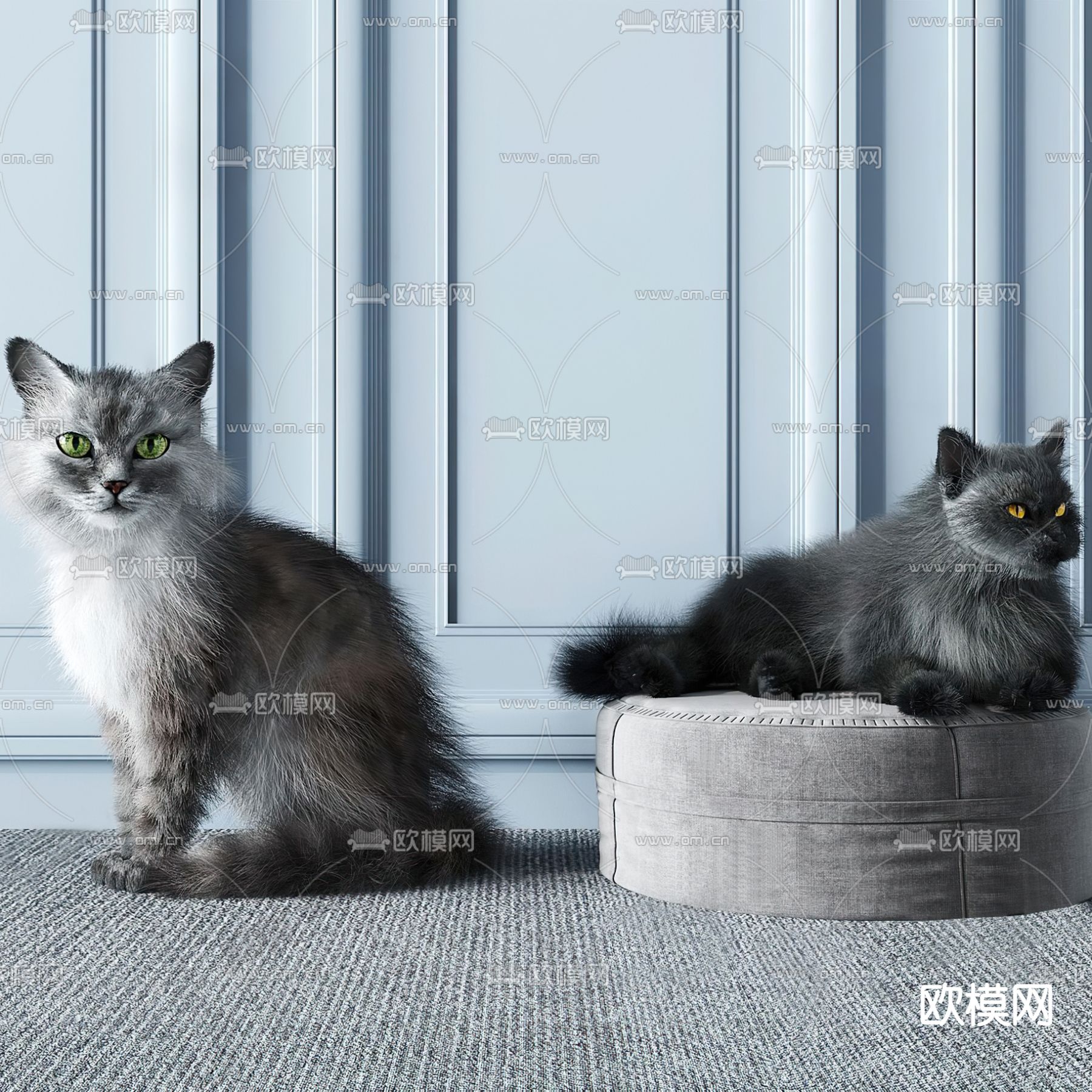 现代宠物猫3d模型