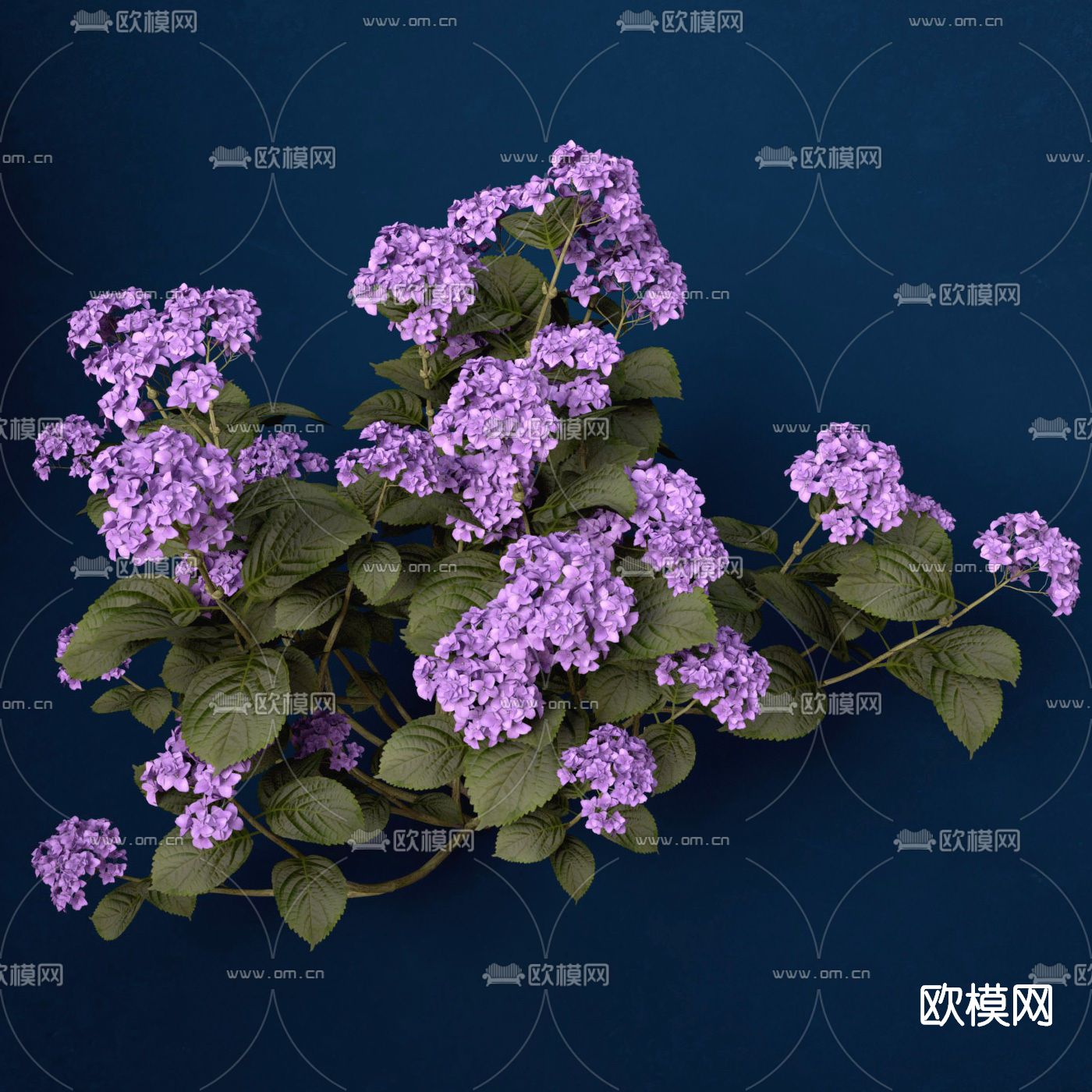 现代花免费3d模型下载（渲染图2）