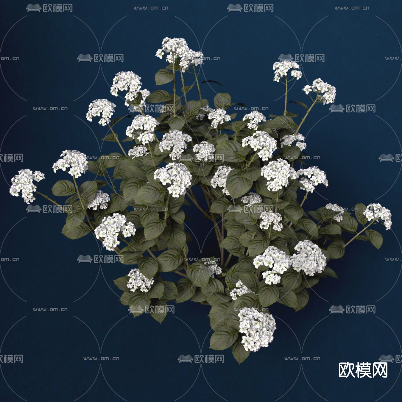 现代花免费3d模型下载（渲染图3）