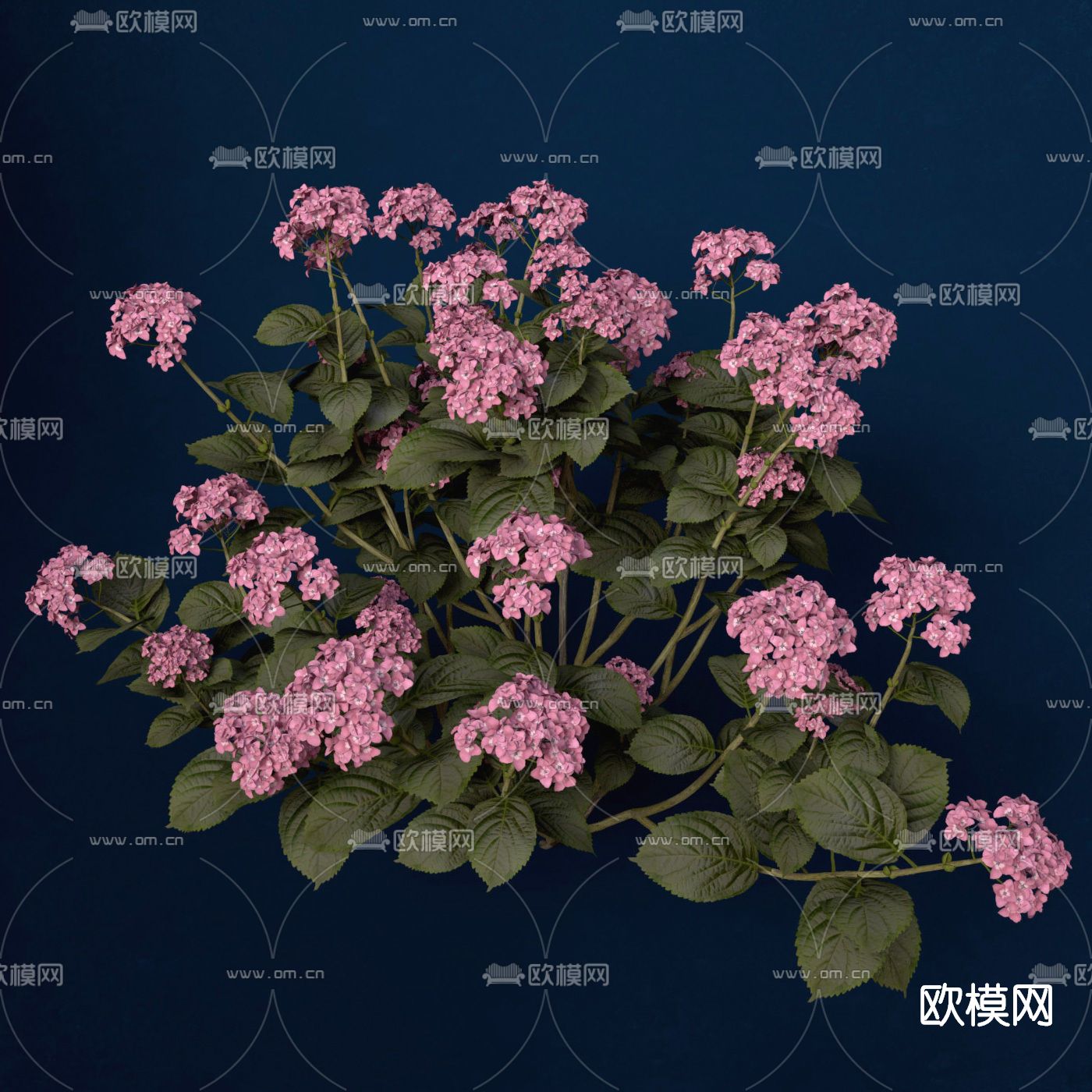 现代花免费3d模型下载（渲染图1）