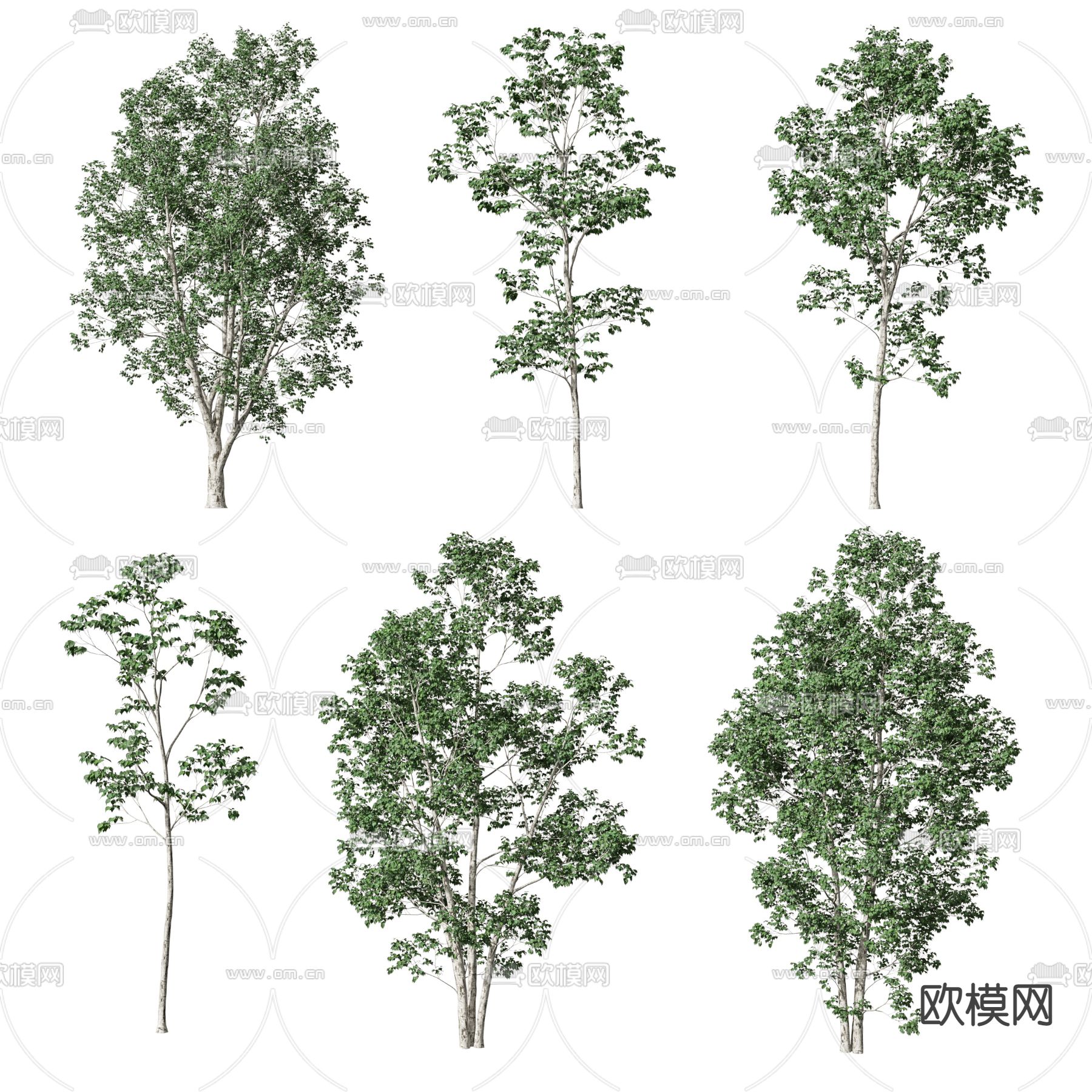 现代榕树景观树3d模型