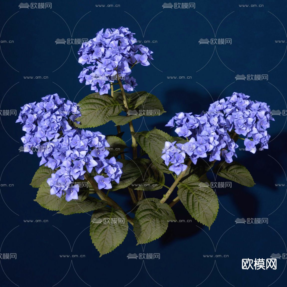 现代花免费3d模型下载（渲染图4）