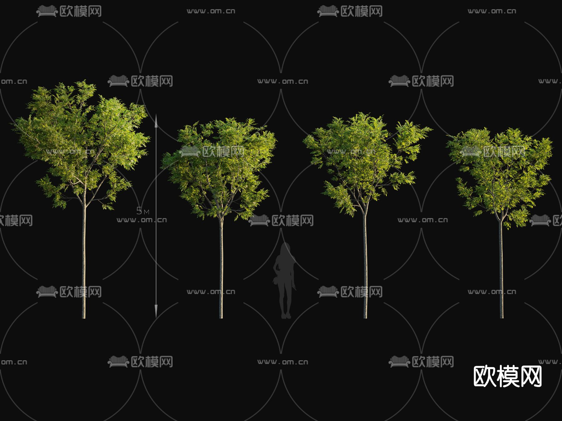 现代绿植树木免费3d模型下载