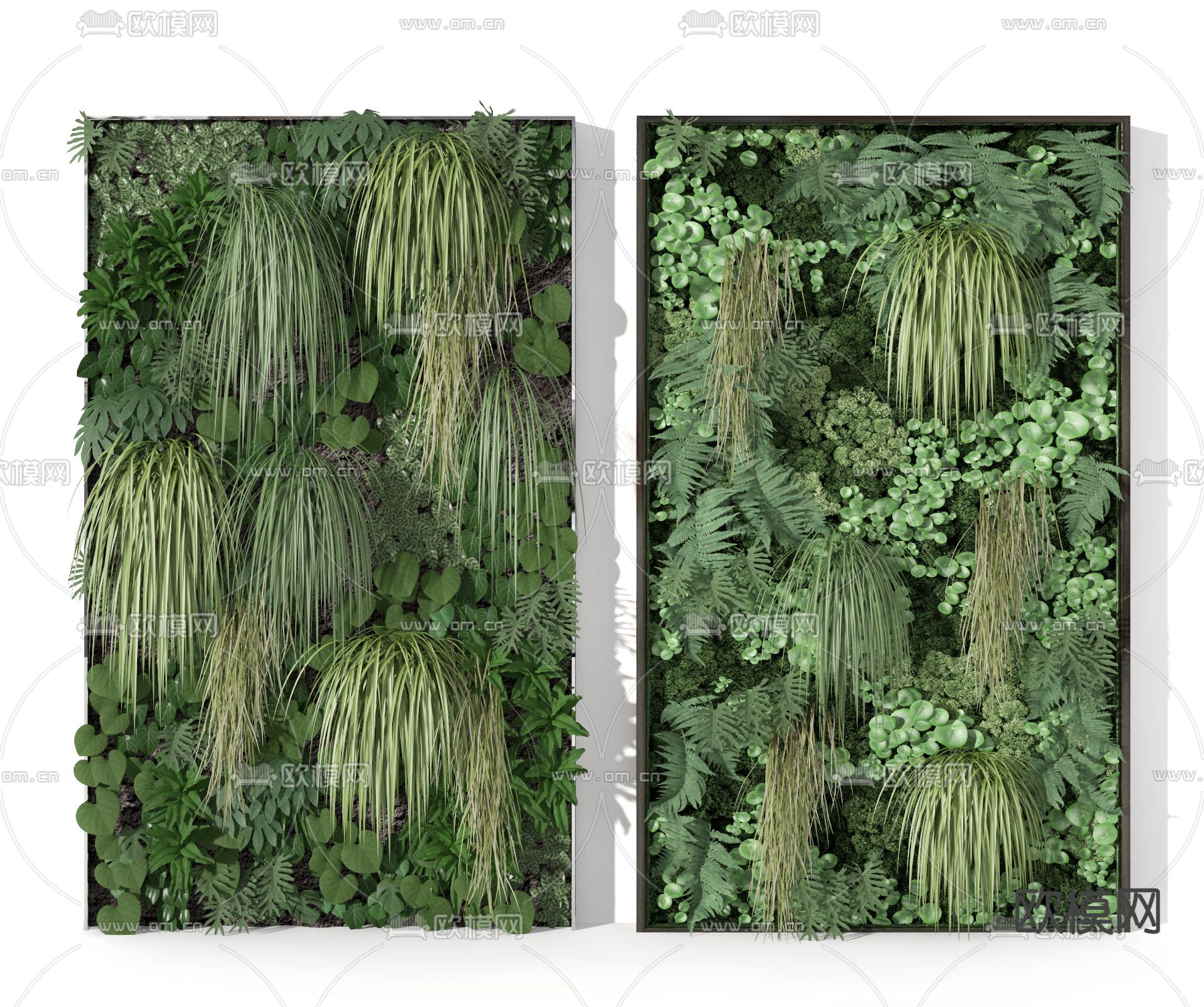 现代植物墙3d模型