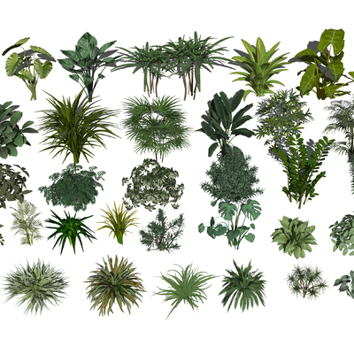  现代绿植花草su模型 