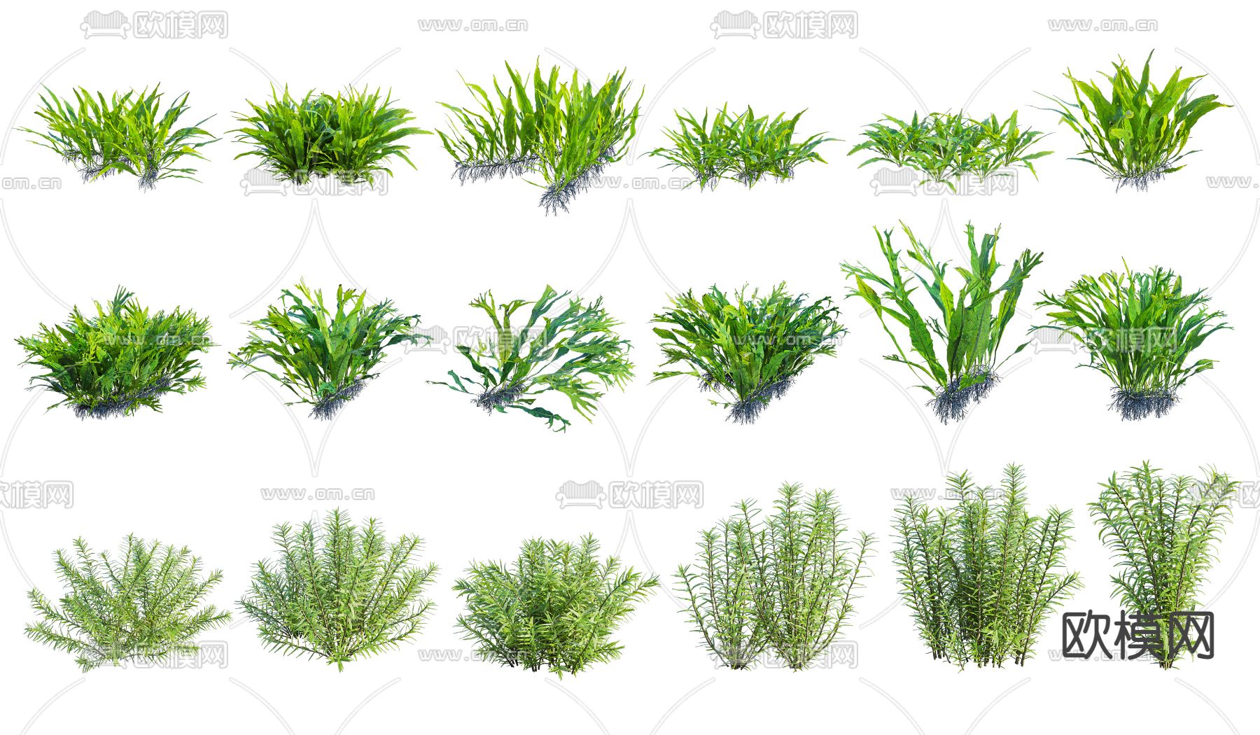 现代水草3d模型下载