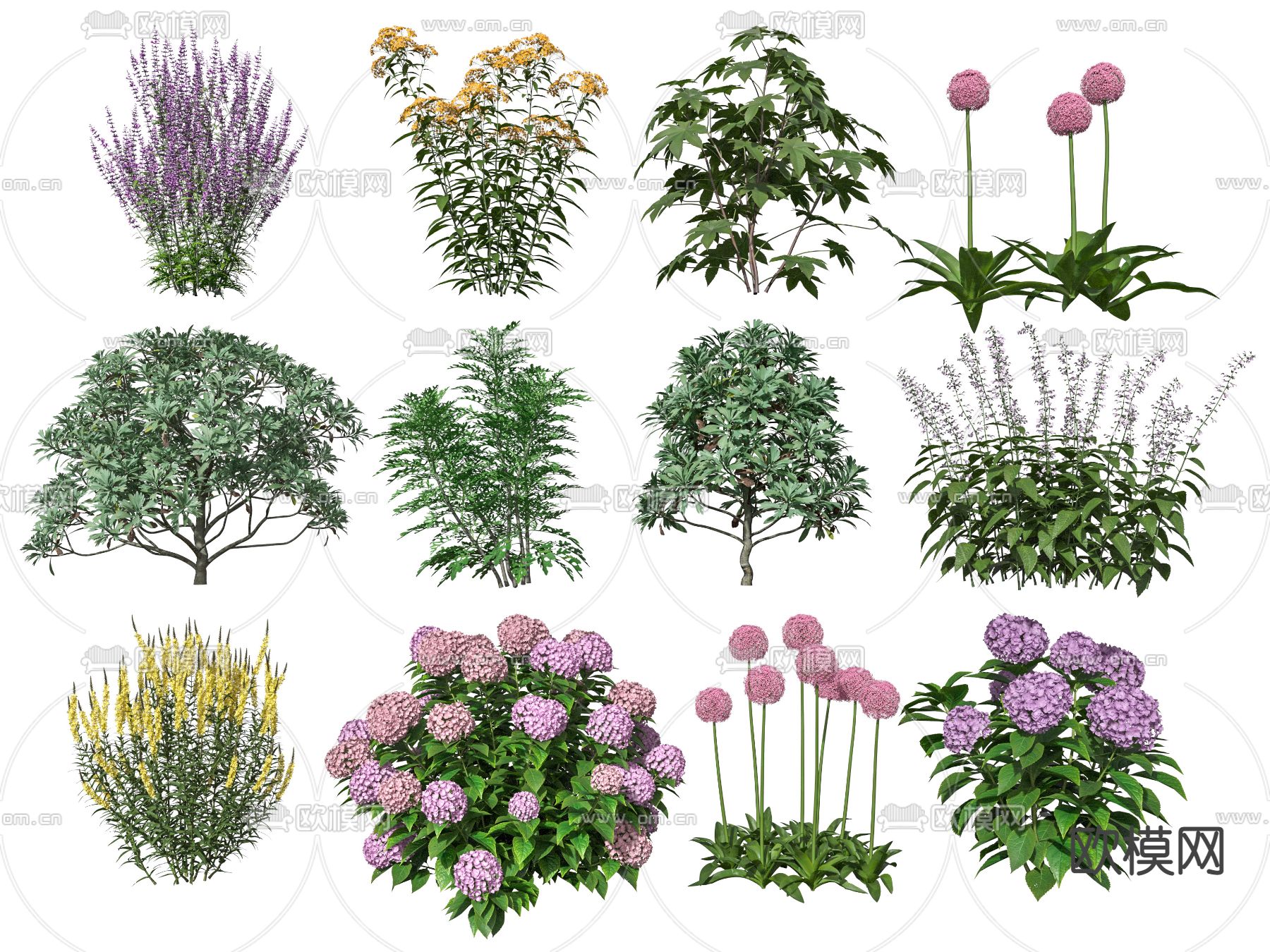现代绿植花卉花草3d模型下载