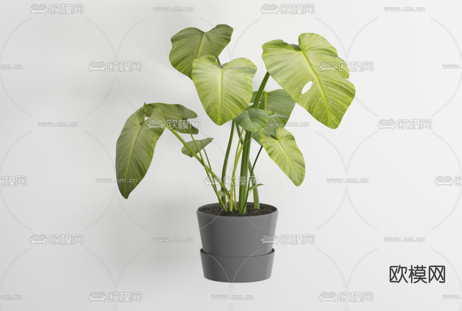 现代绿植盆栽免费3d模型下载