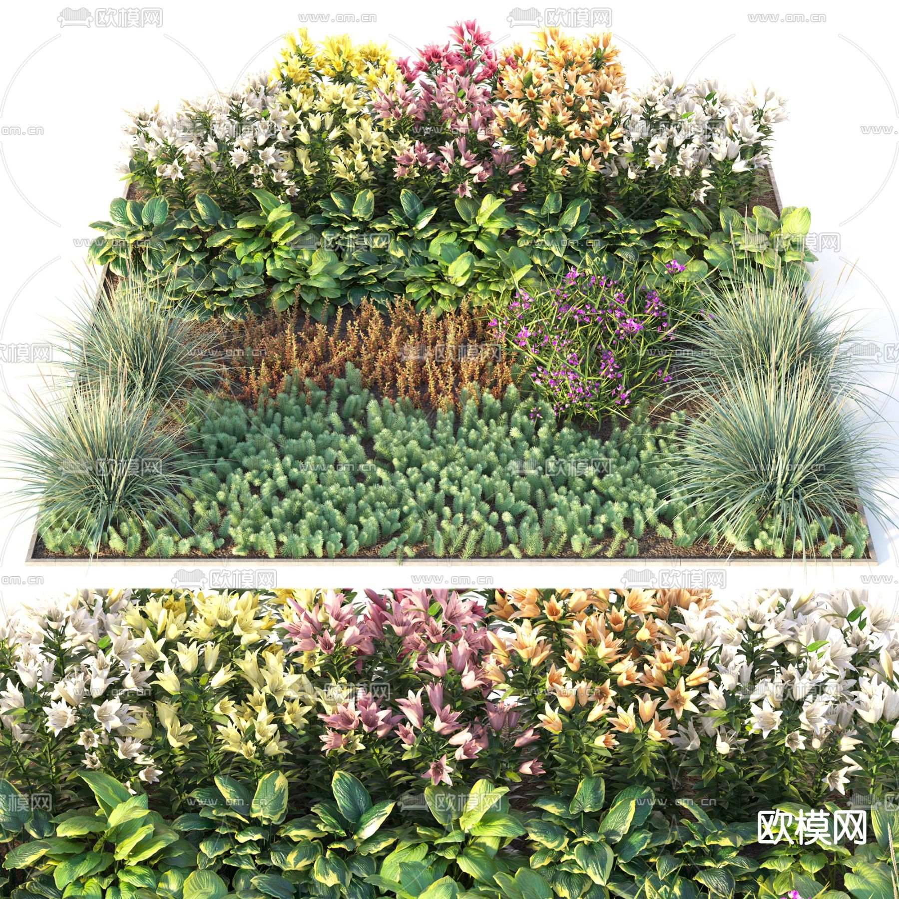 现代绿植花草丛3d模型下载（渲染图1）