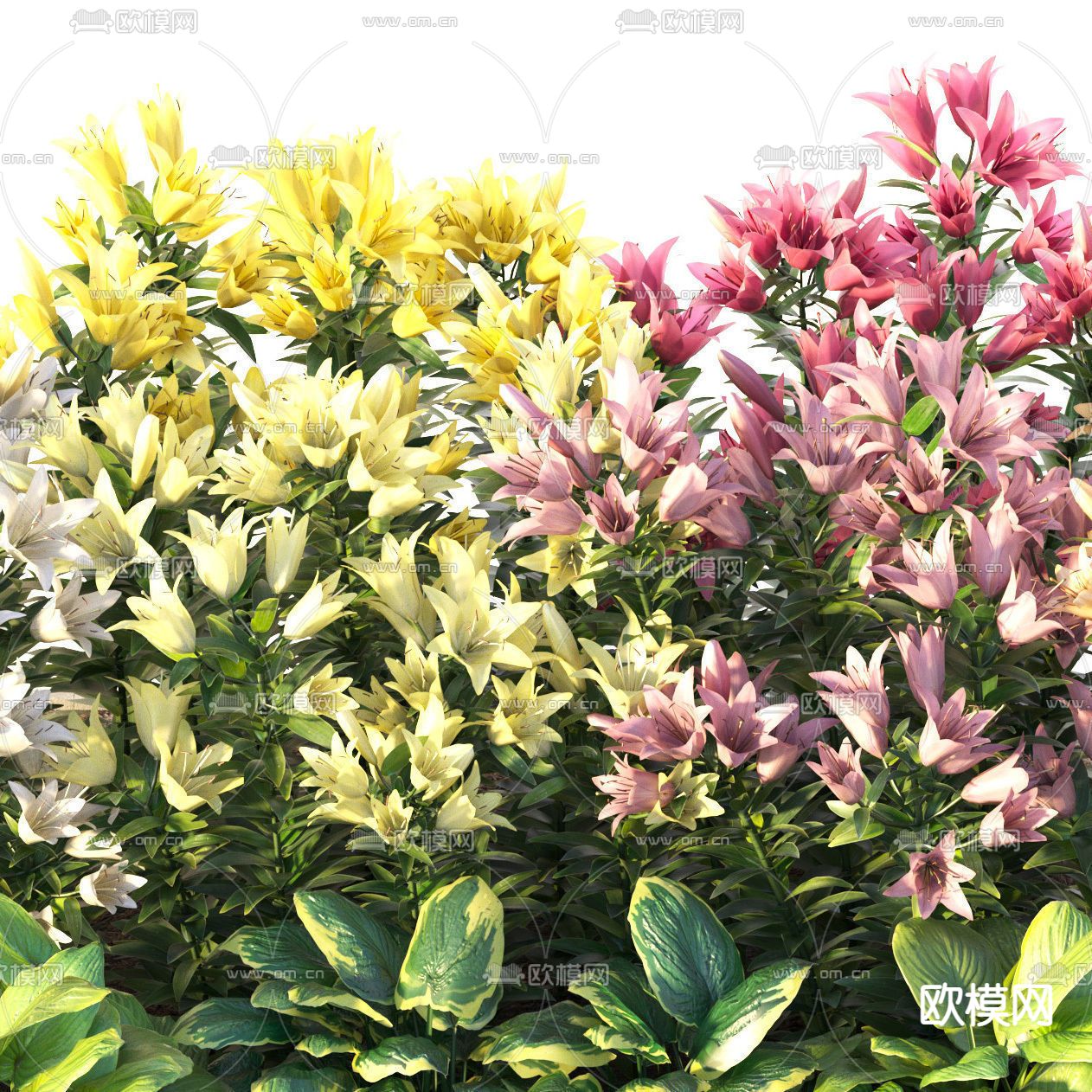 现代绿植花草丛3d模型下载（渲染图2）