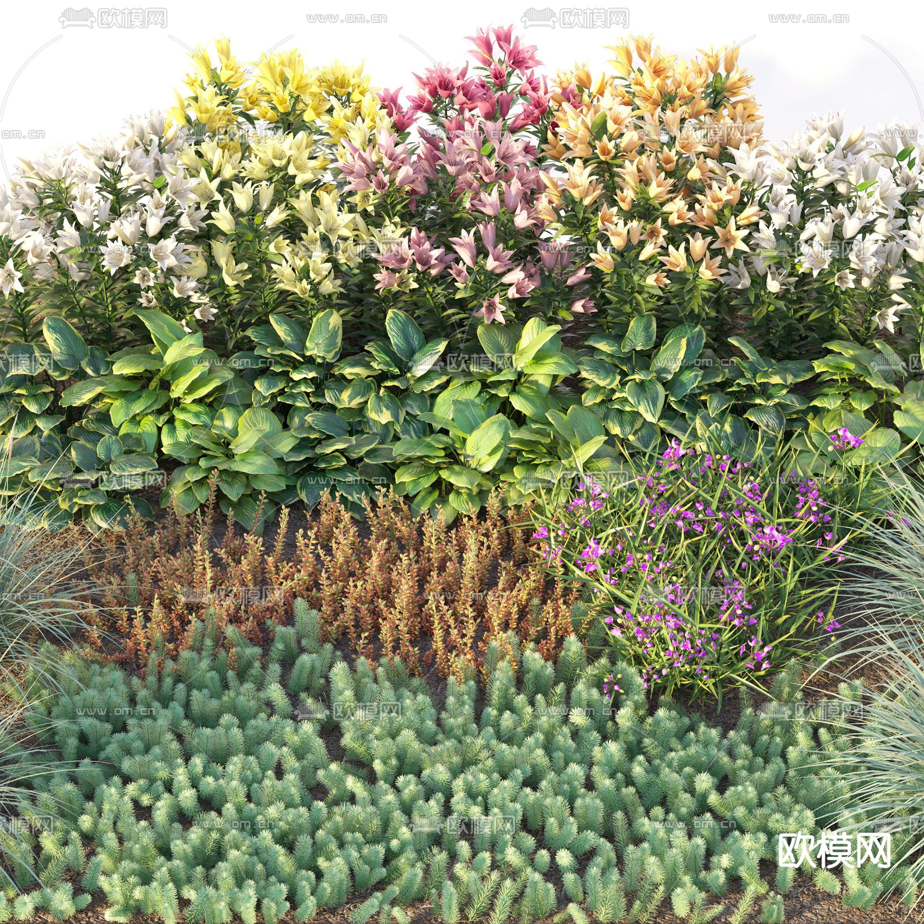 现代绿植花草丛3d模型下载（渲染图4）