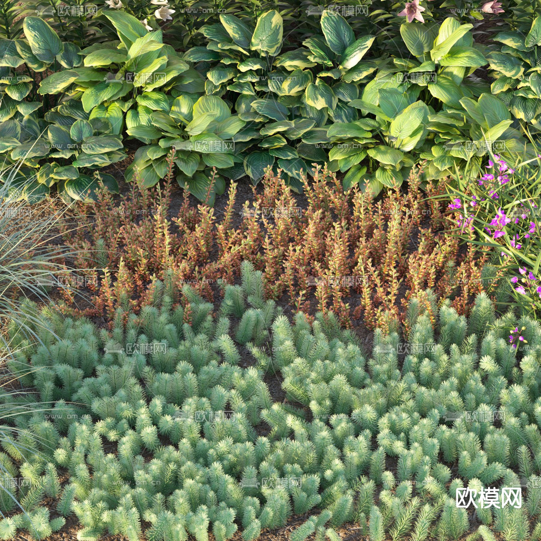 现代绿植花草丛3d模型下载（渲染图3）