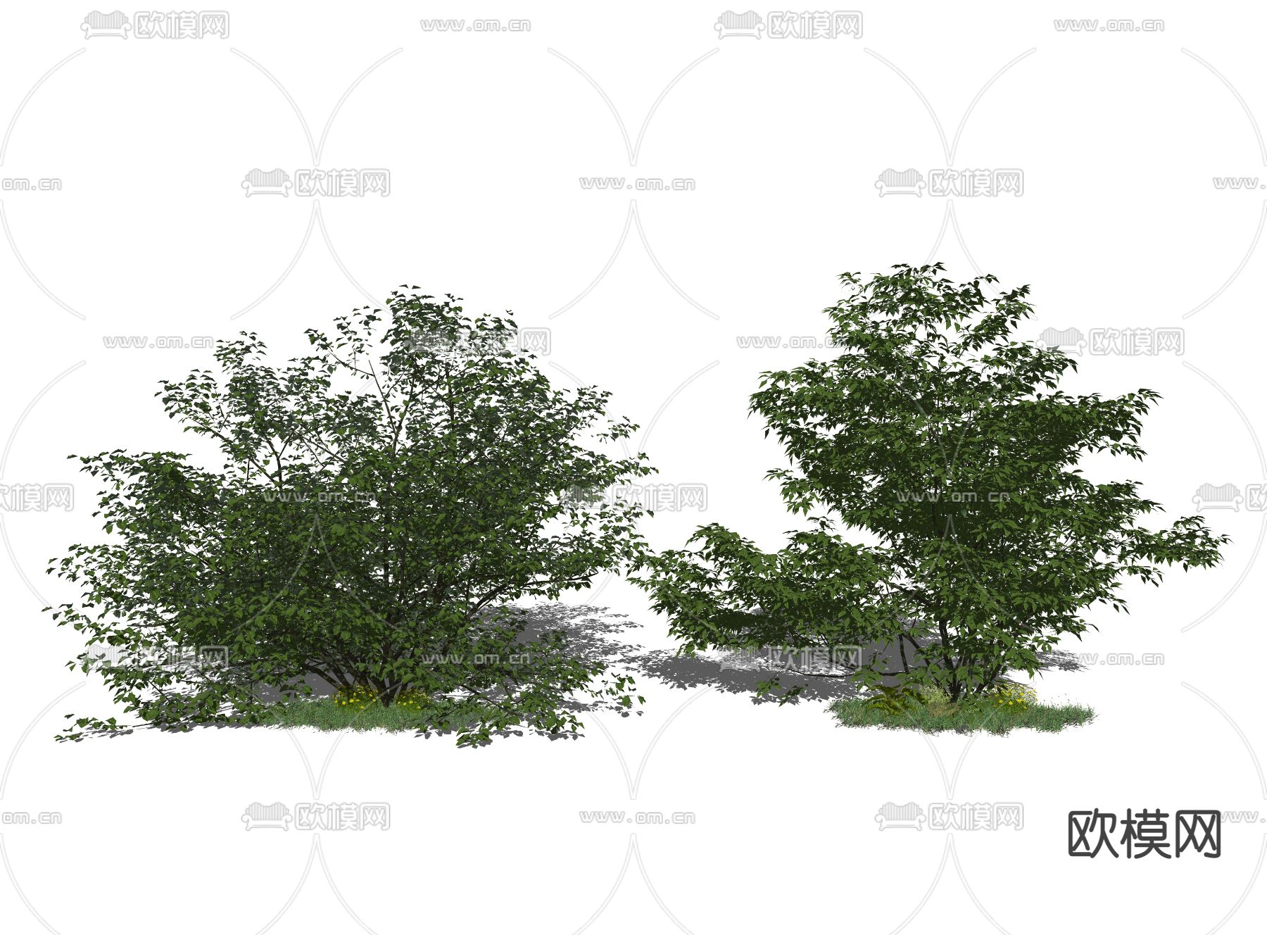 现代灌木矮树su模型下载（渲染图2）