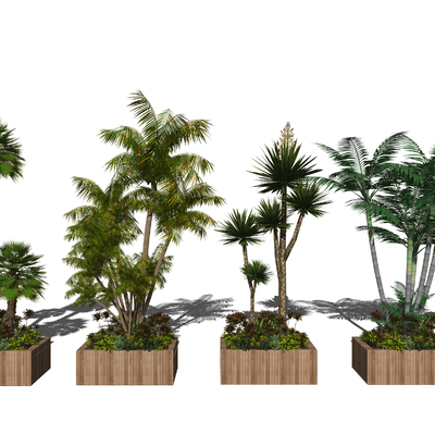  现代树棕榈树su模型 