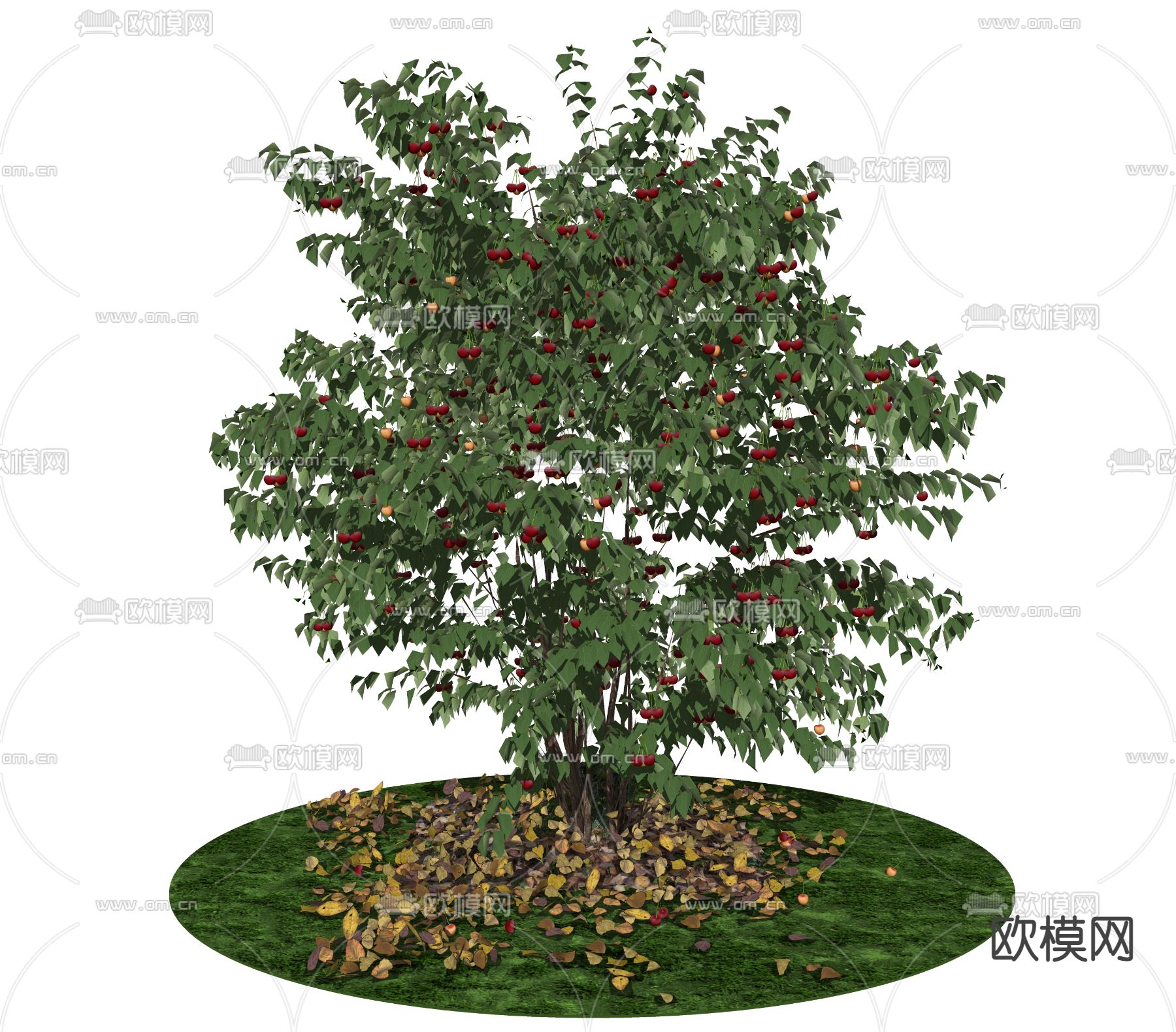 现代樱桃树su模型下载