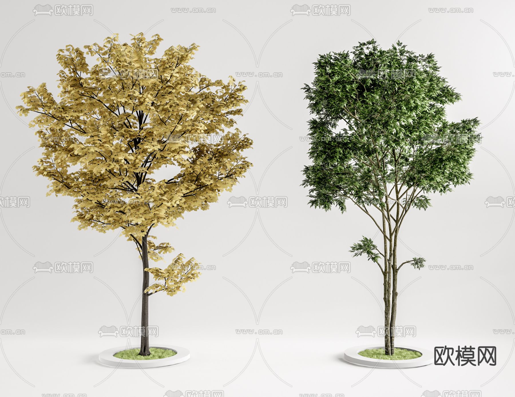 现代景观树su模型下载（渲染图1）