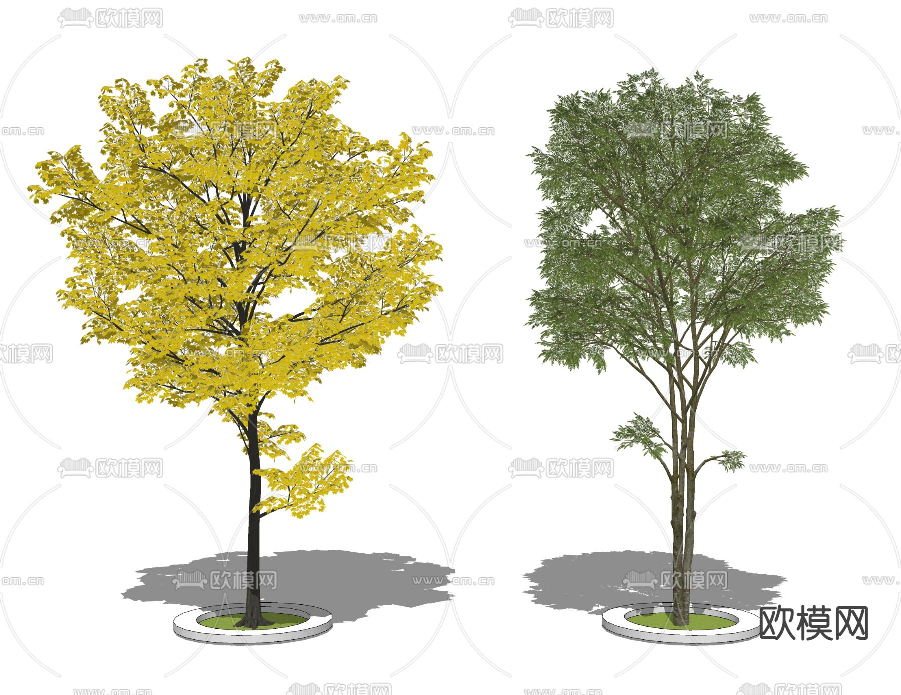 现代景观树su模型下载（渲染图2）