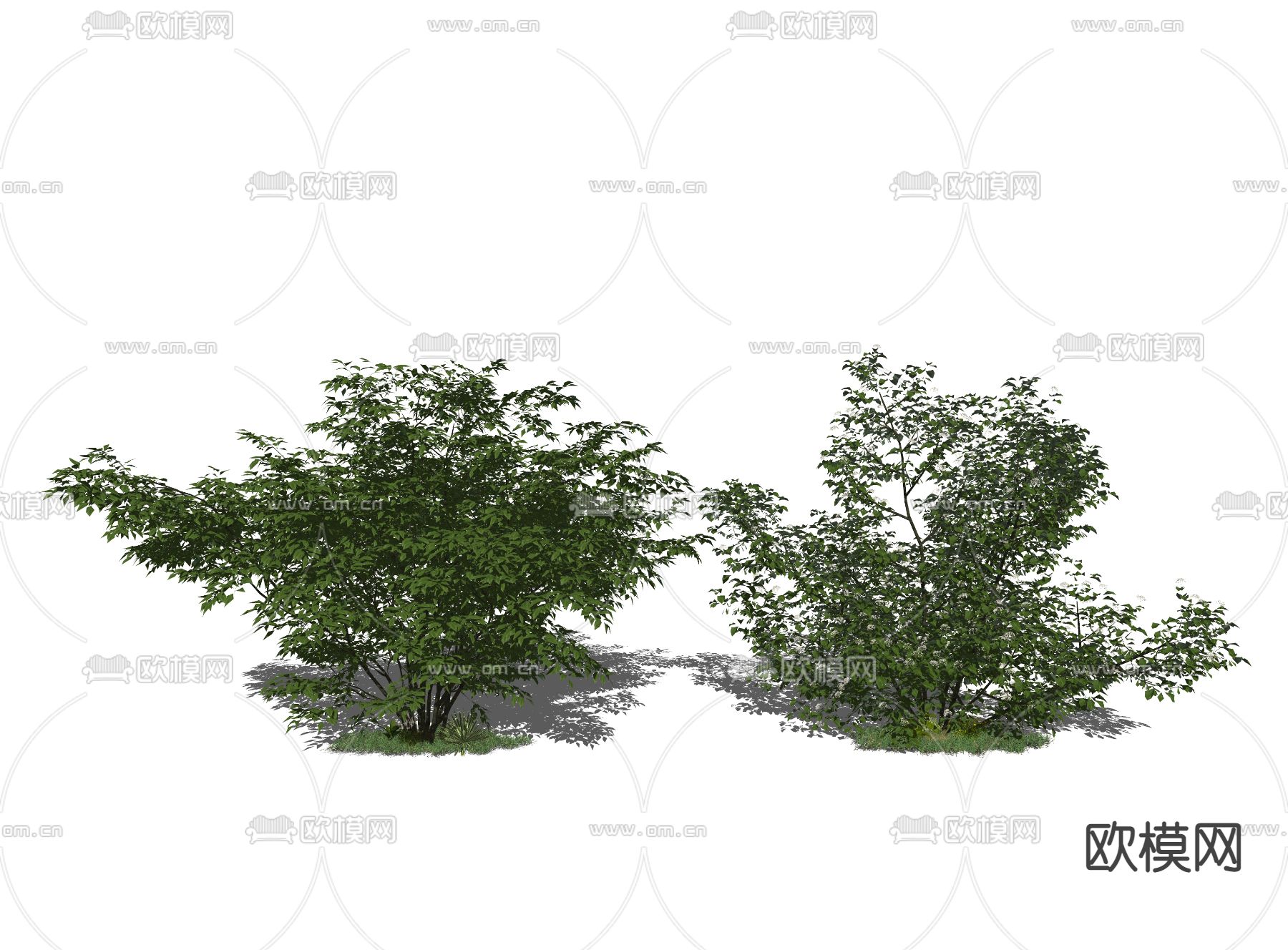 现代灌木矮树su模型下载（渲染图3）