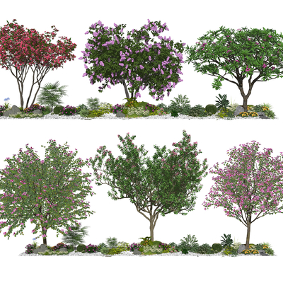  现代樱花树su模型 