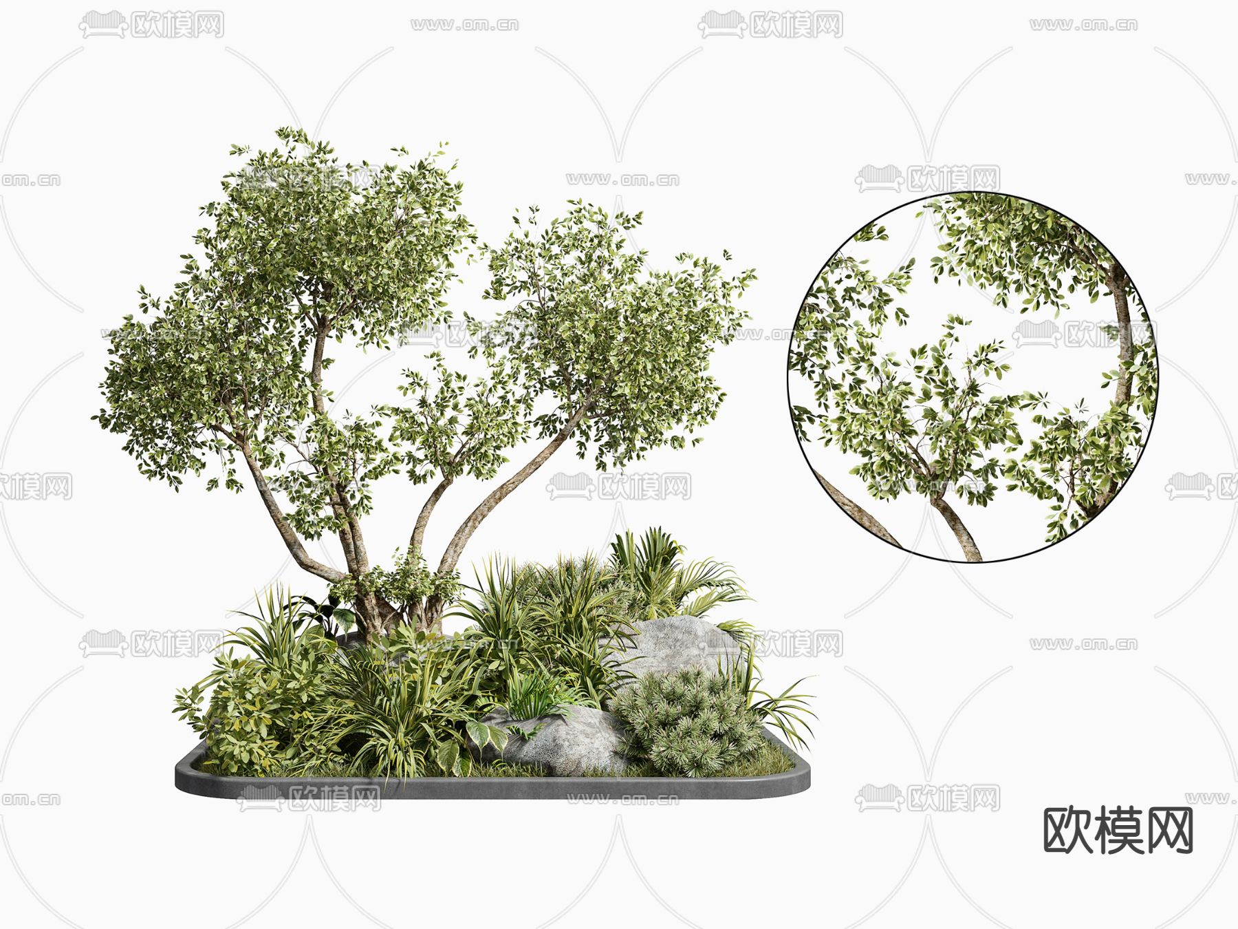 现代绿植灌木3d模型