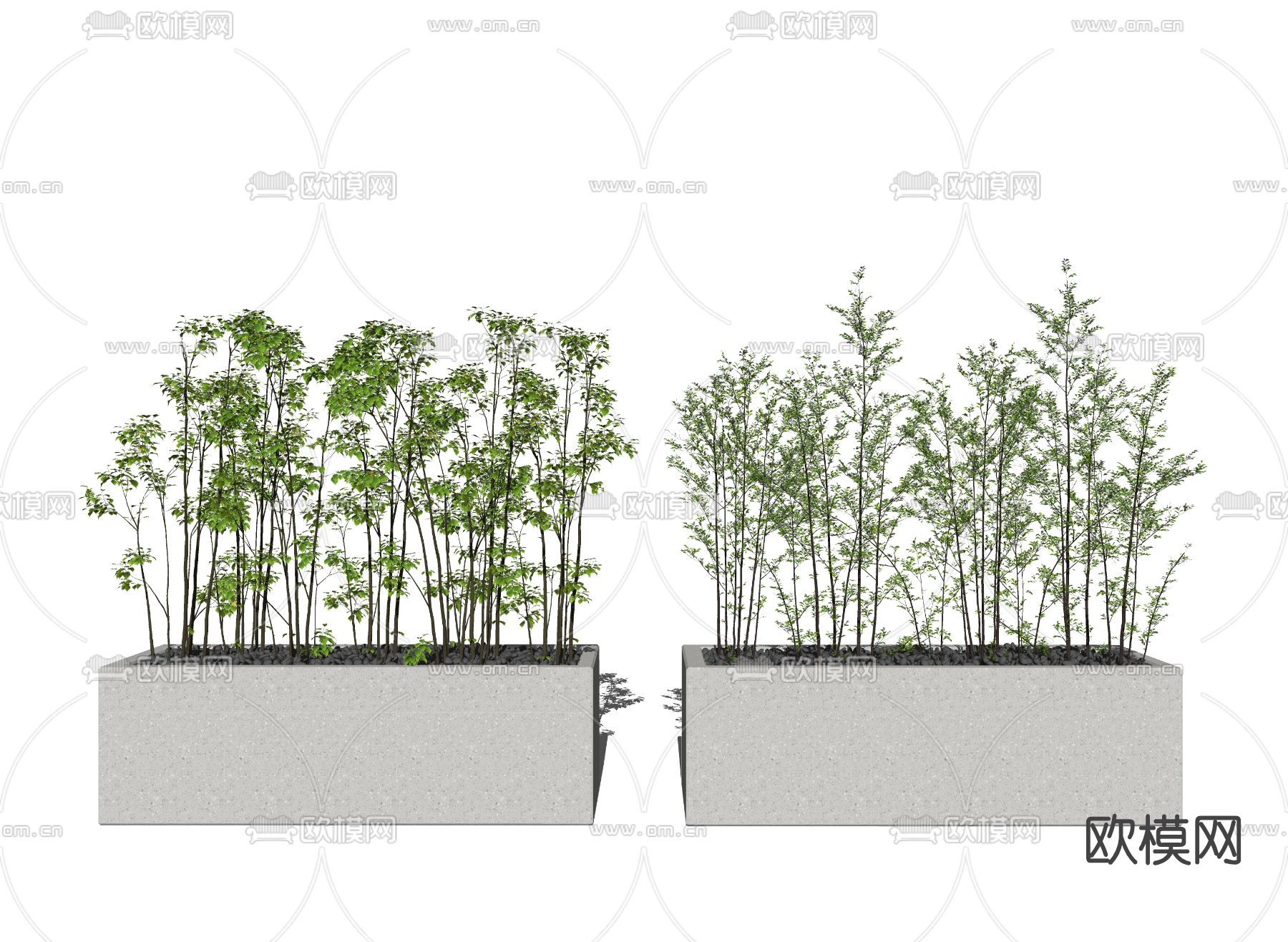 现代植物盆栽su模型下载