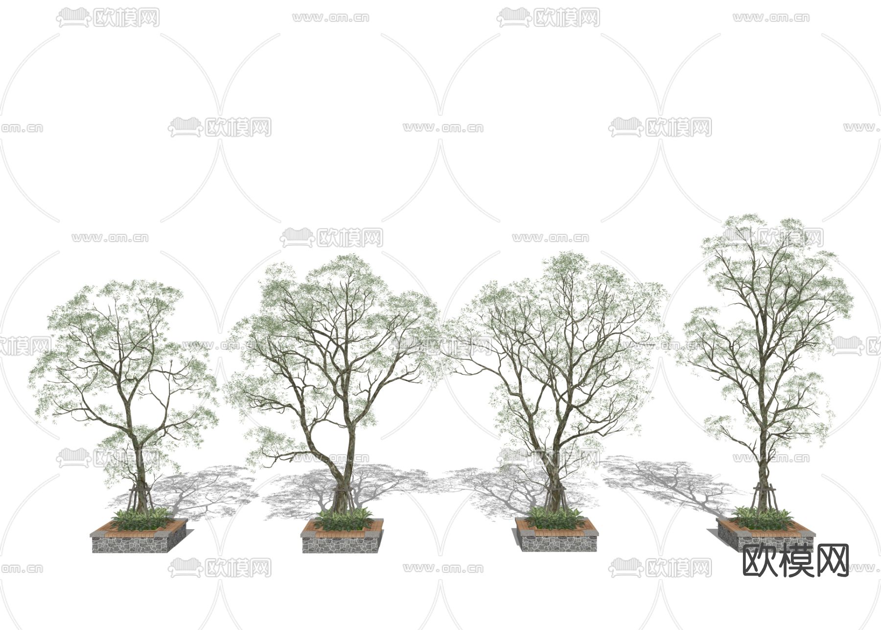 现代绿化景观树su模型下载