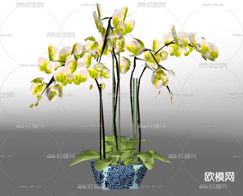 现代蝴蝶兰盆栽su模型下载（渲染图2）
