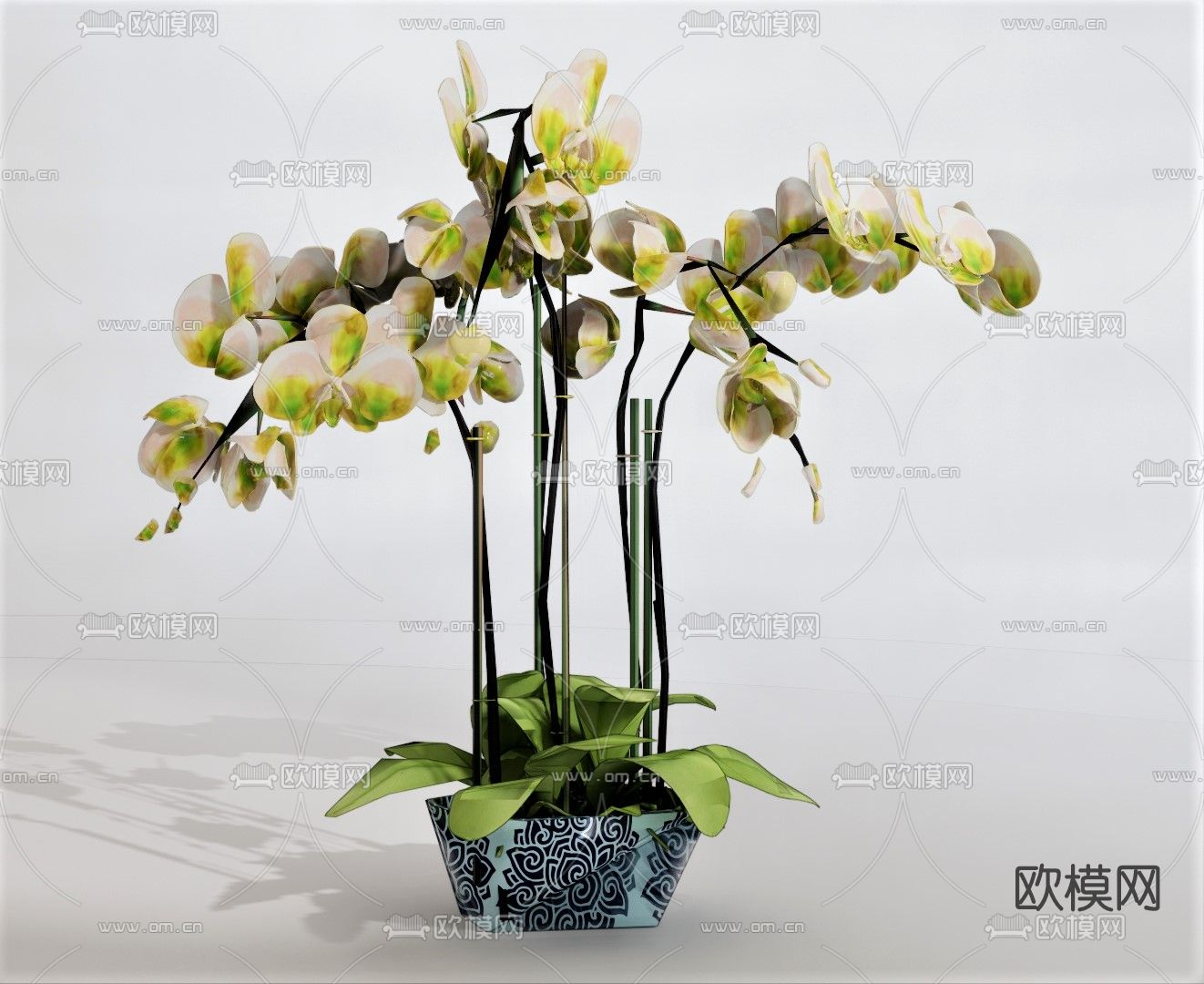 现代蝴蝶兰盆栽su模型下载（渲染图1）