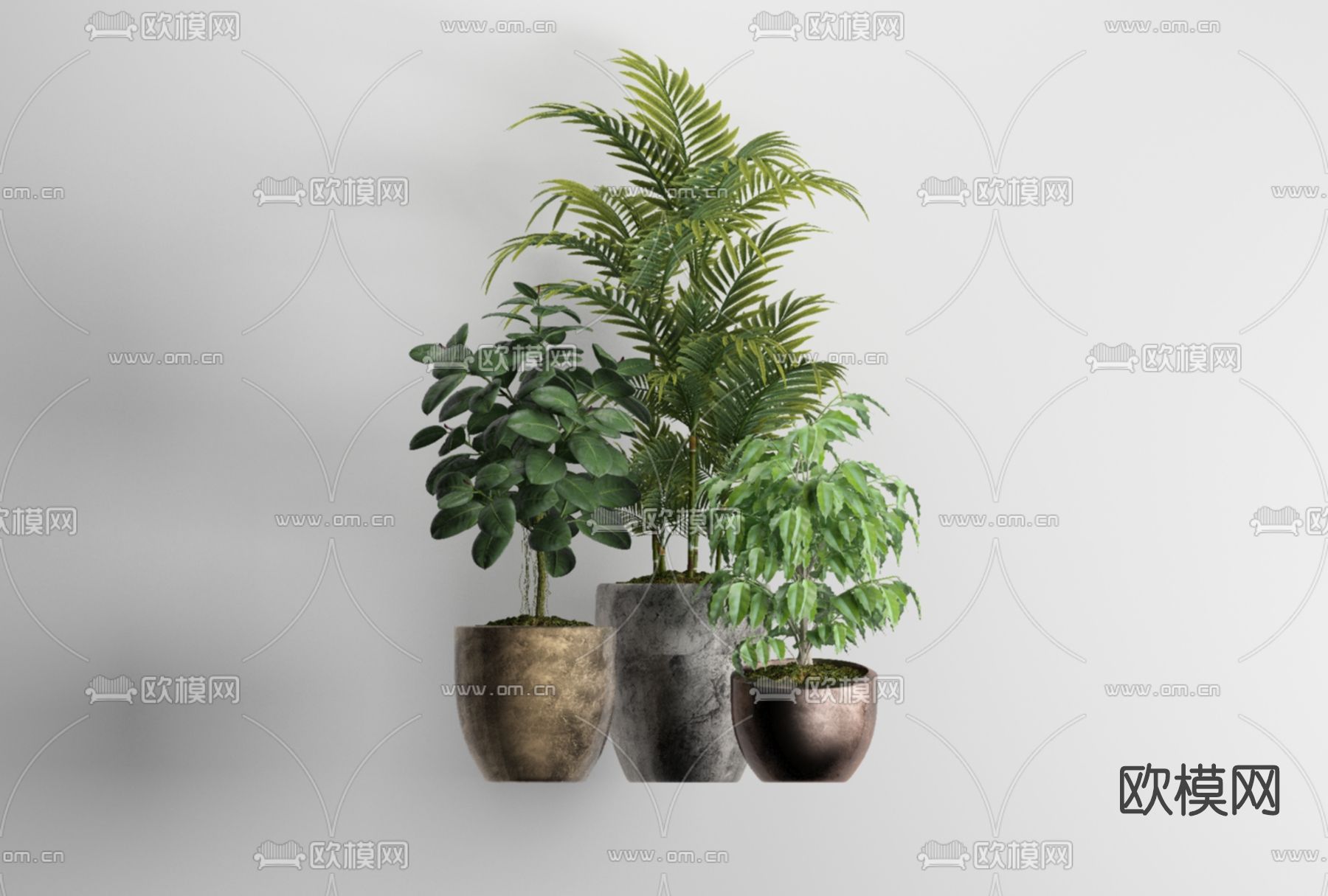 现代植物盆栽免费3d模型下载