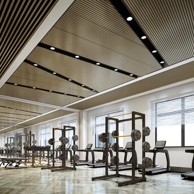  现代健身房su模型 