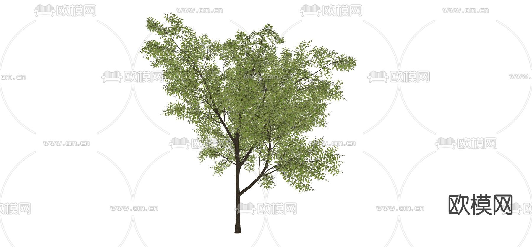 现代景观树su模型下载（渲染图2）