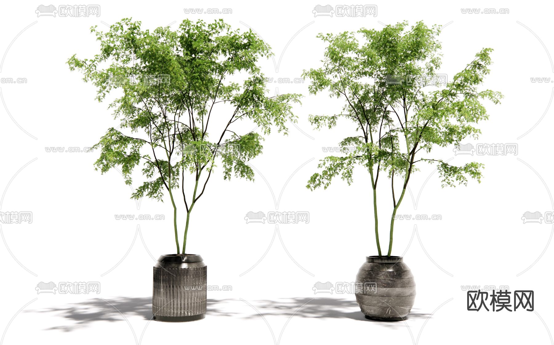 现代绿植盆栽盆景su模型下载（渲染图1）