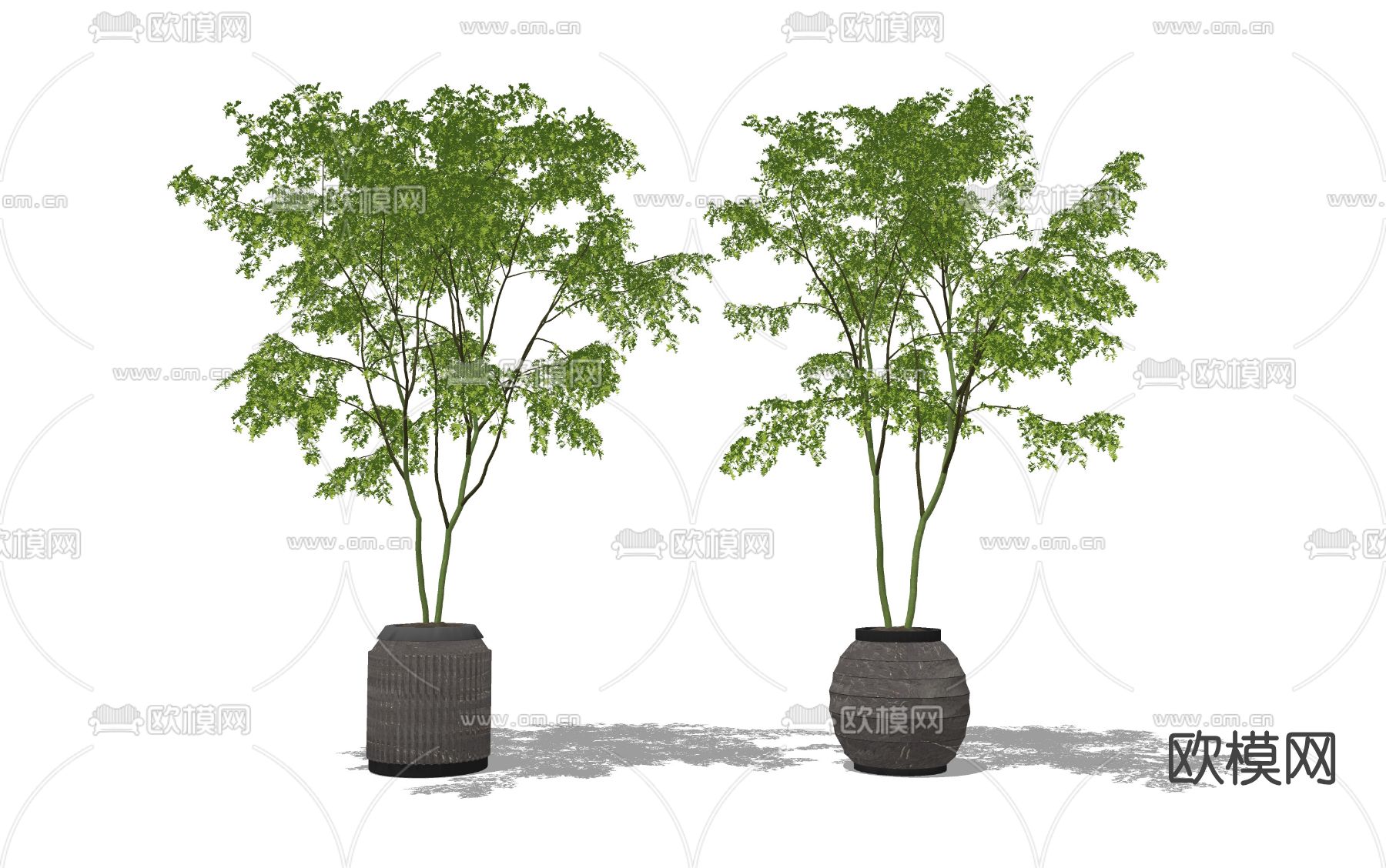 现代绿植盆栽盆景su模型下载（渲染图2）