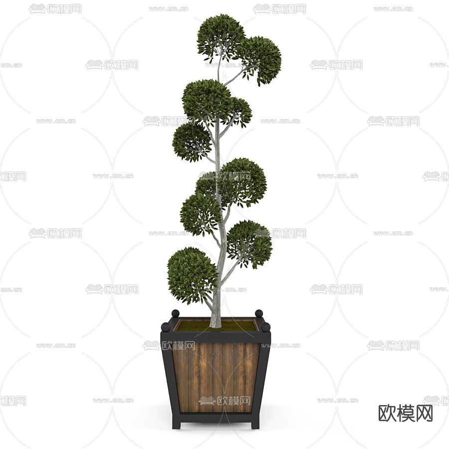 现代绿植盆栽免费3d模型下载