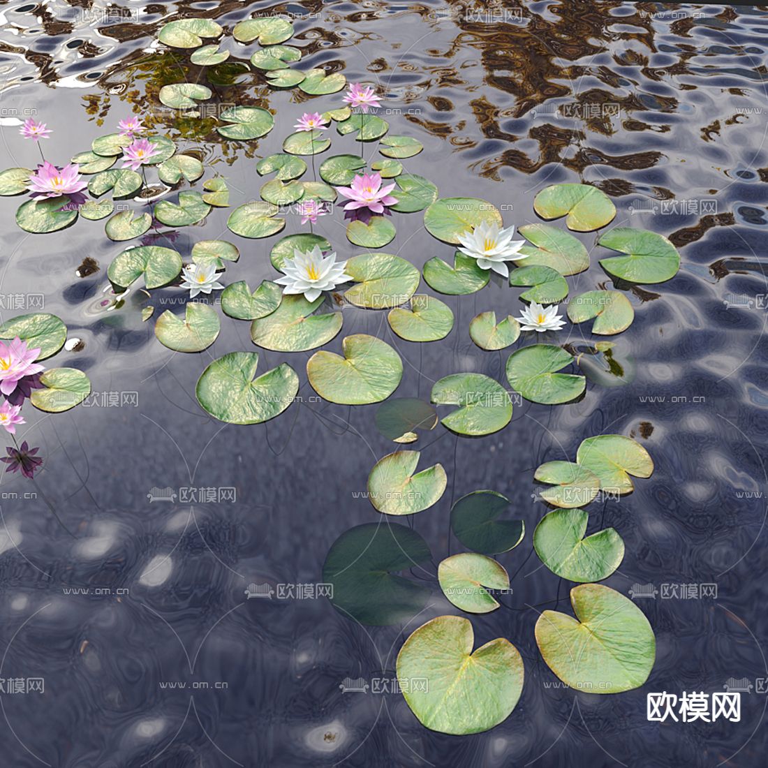 现代荷花睡莲荷叶3d模型
