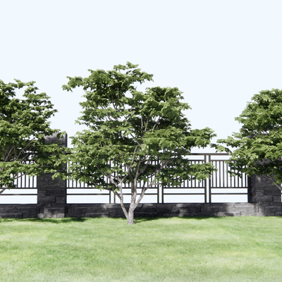  现代庭院景观树su模型 