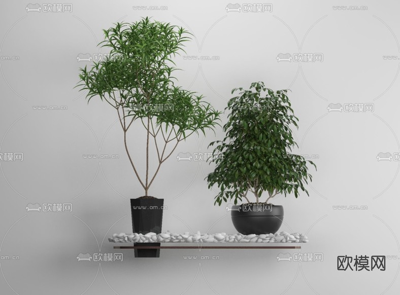 现代植物盆栽免费3d模型下载