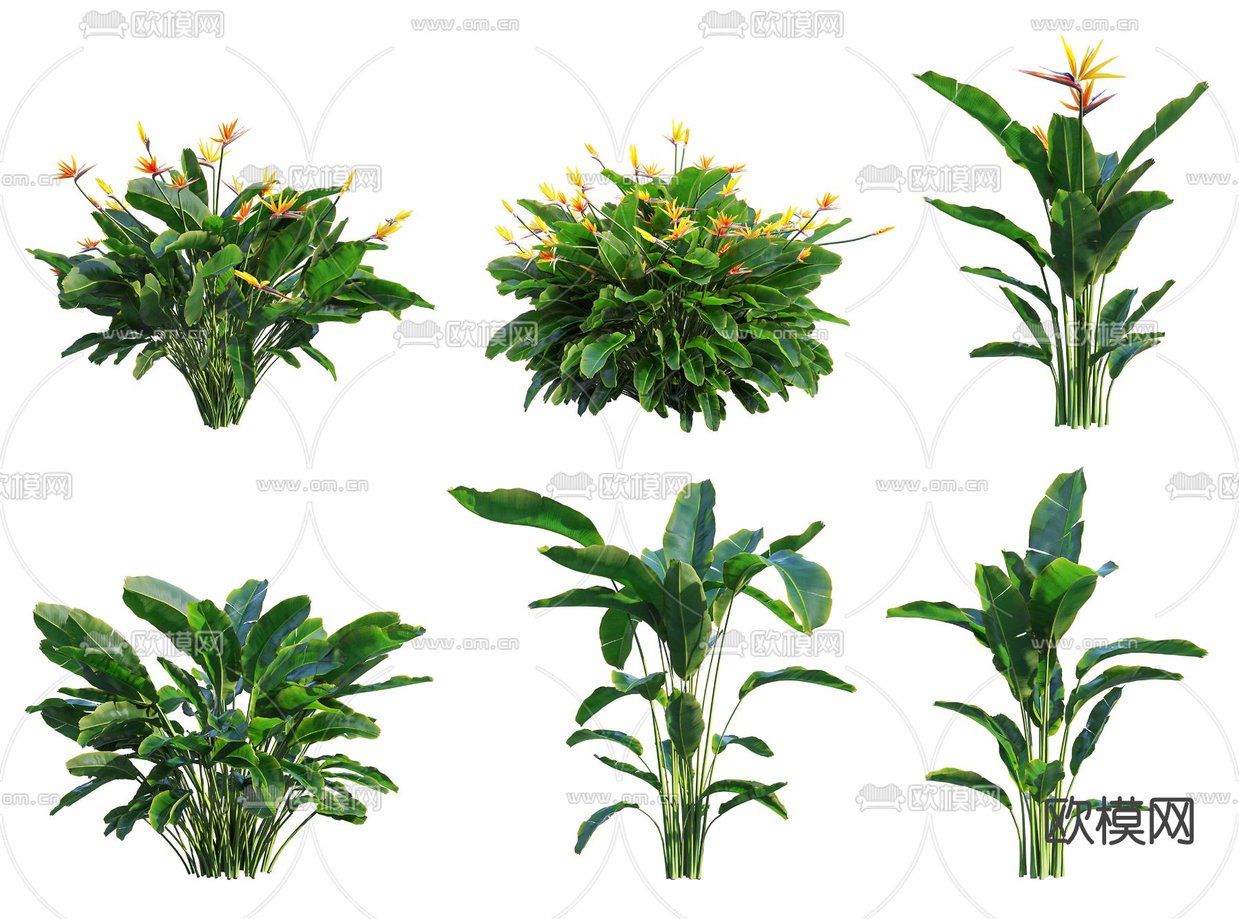 现代绿植花草3d模型下载