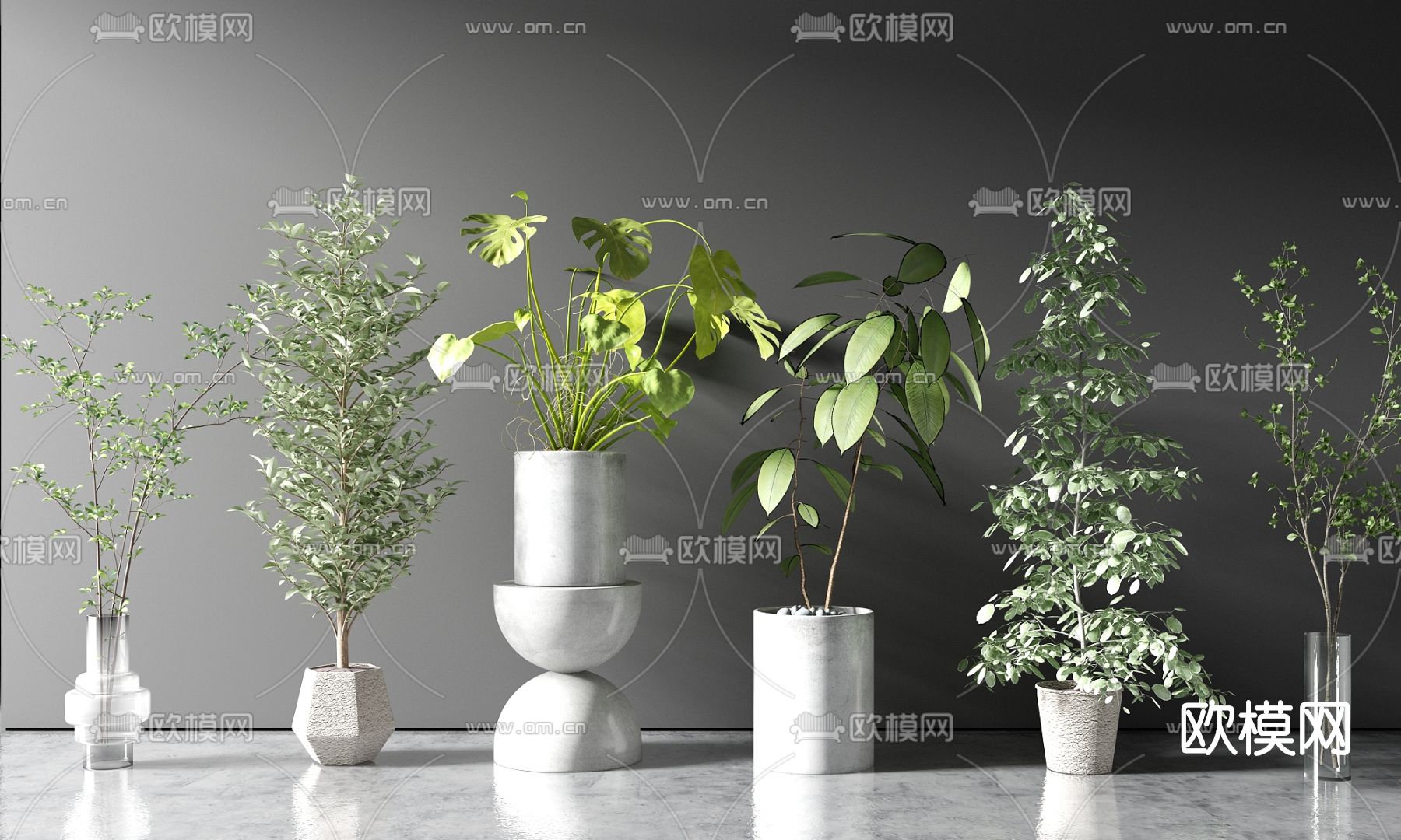 现代植物盆栽su模型下载（渲染图1）