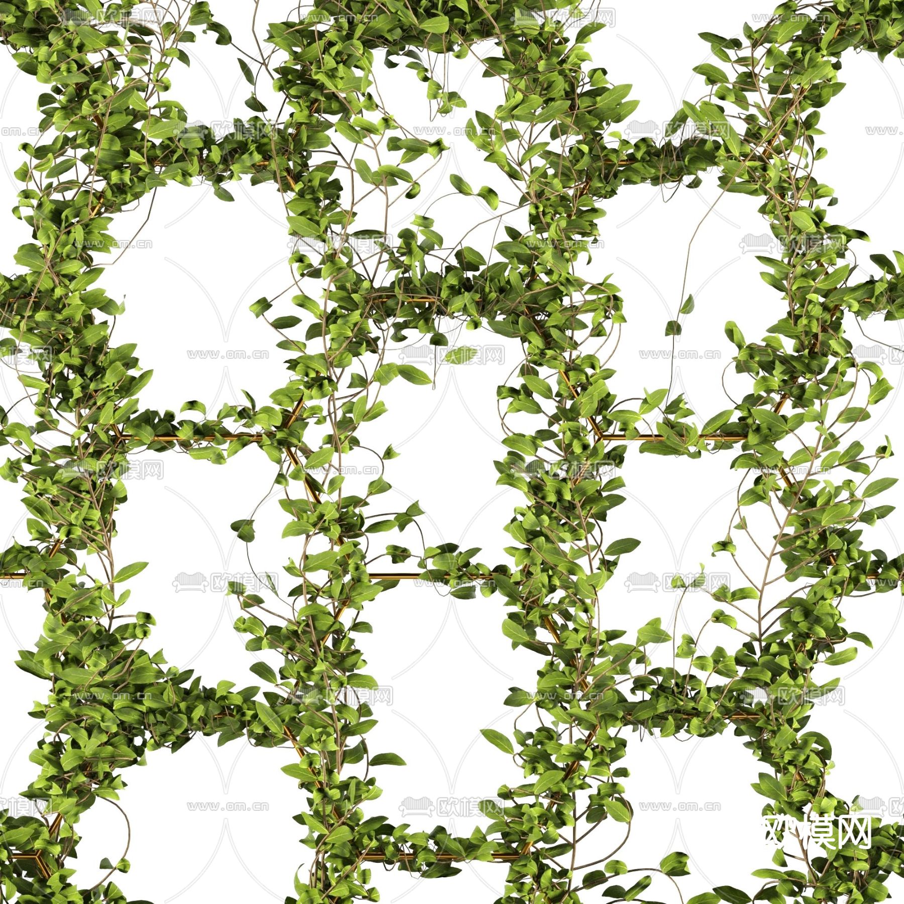 现代藤蔓植物3d模型
