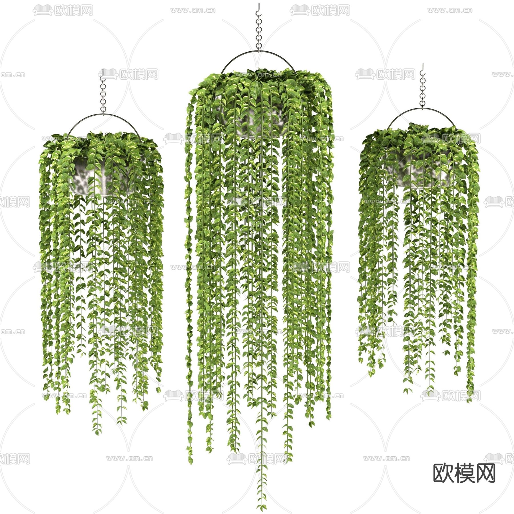 现代吊篮绿植盆栽3d模型