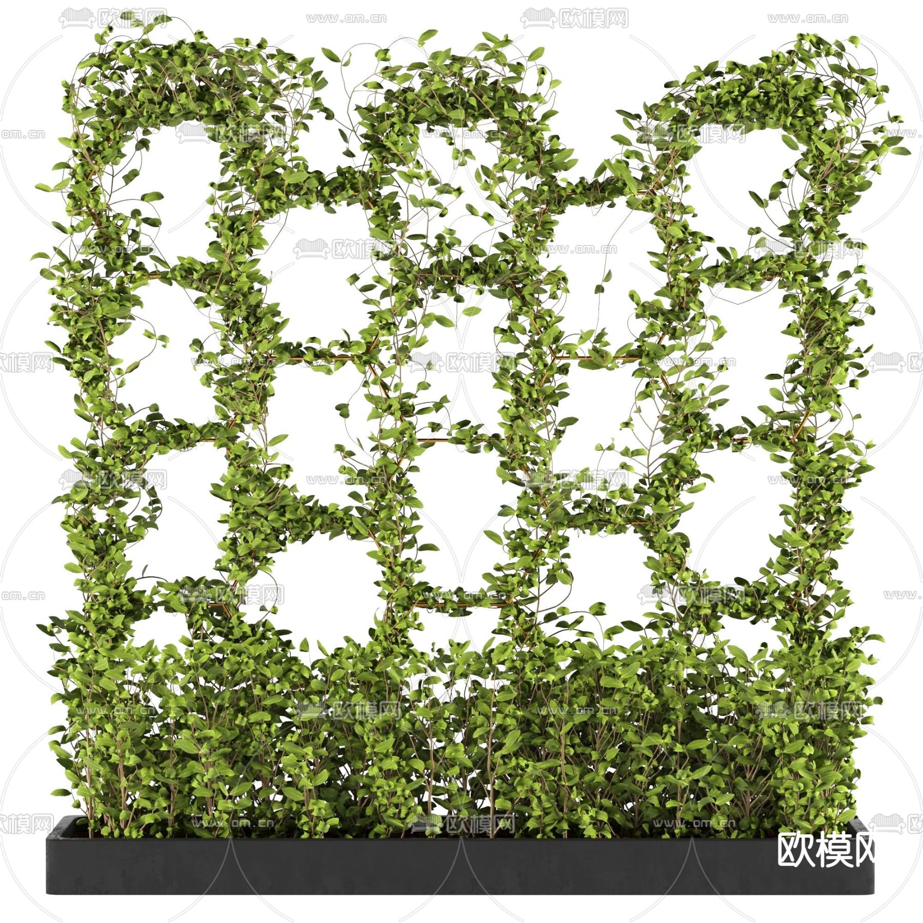 现代藤蔓植物3d模型