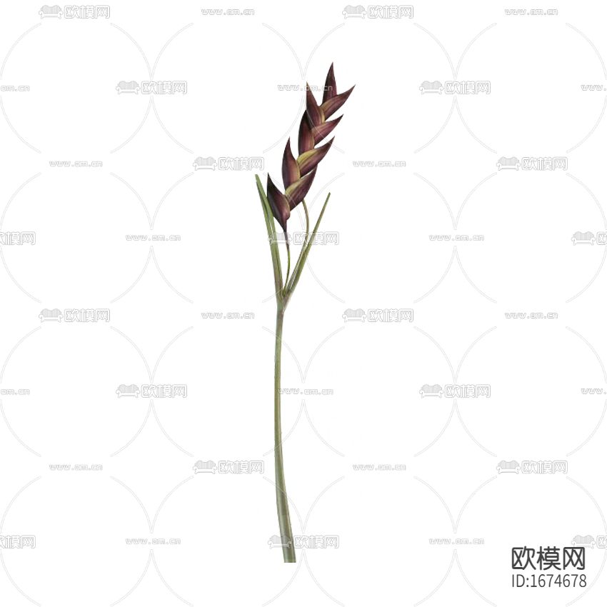 现代简约海爪天堂鸟摆放花艺