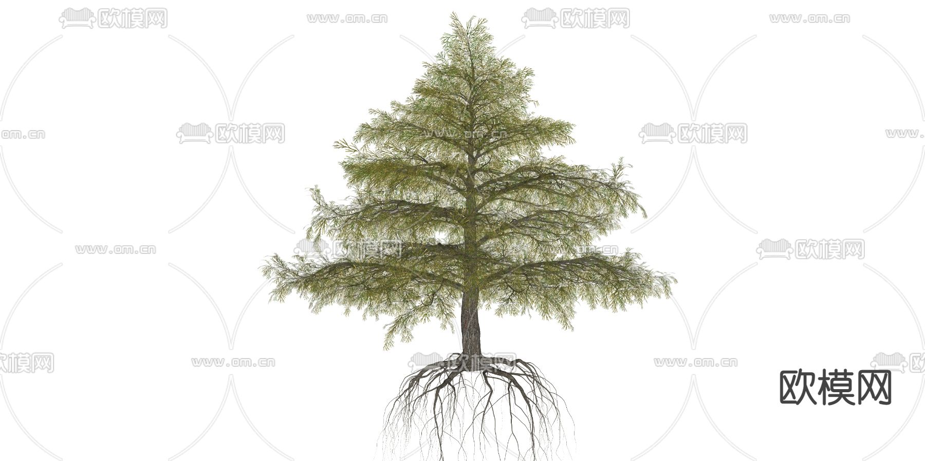 现代松树su模型下载（渲染图2）