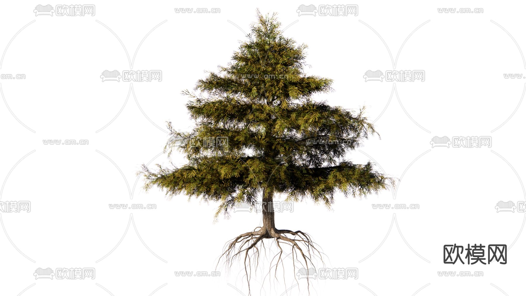 现代松树su模型下载（渲染图1）