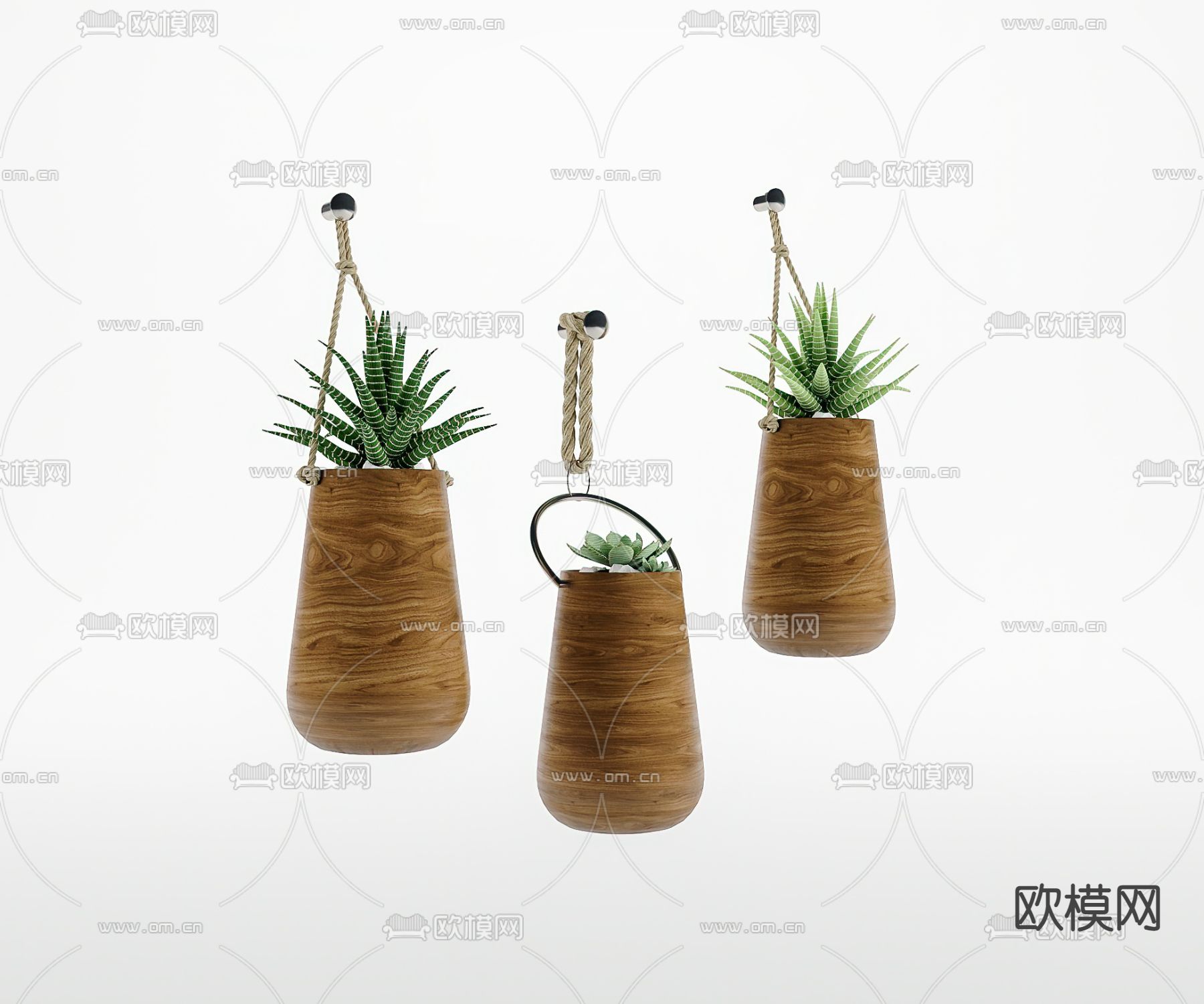 北欧壁挂植物盆栽3d模型