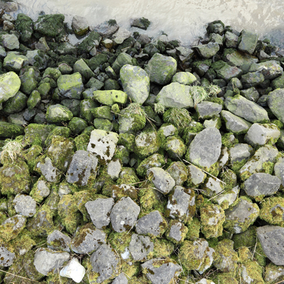  青苔鹅卵石 