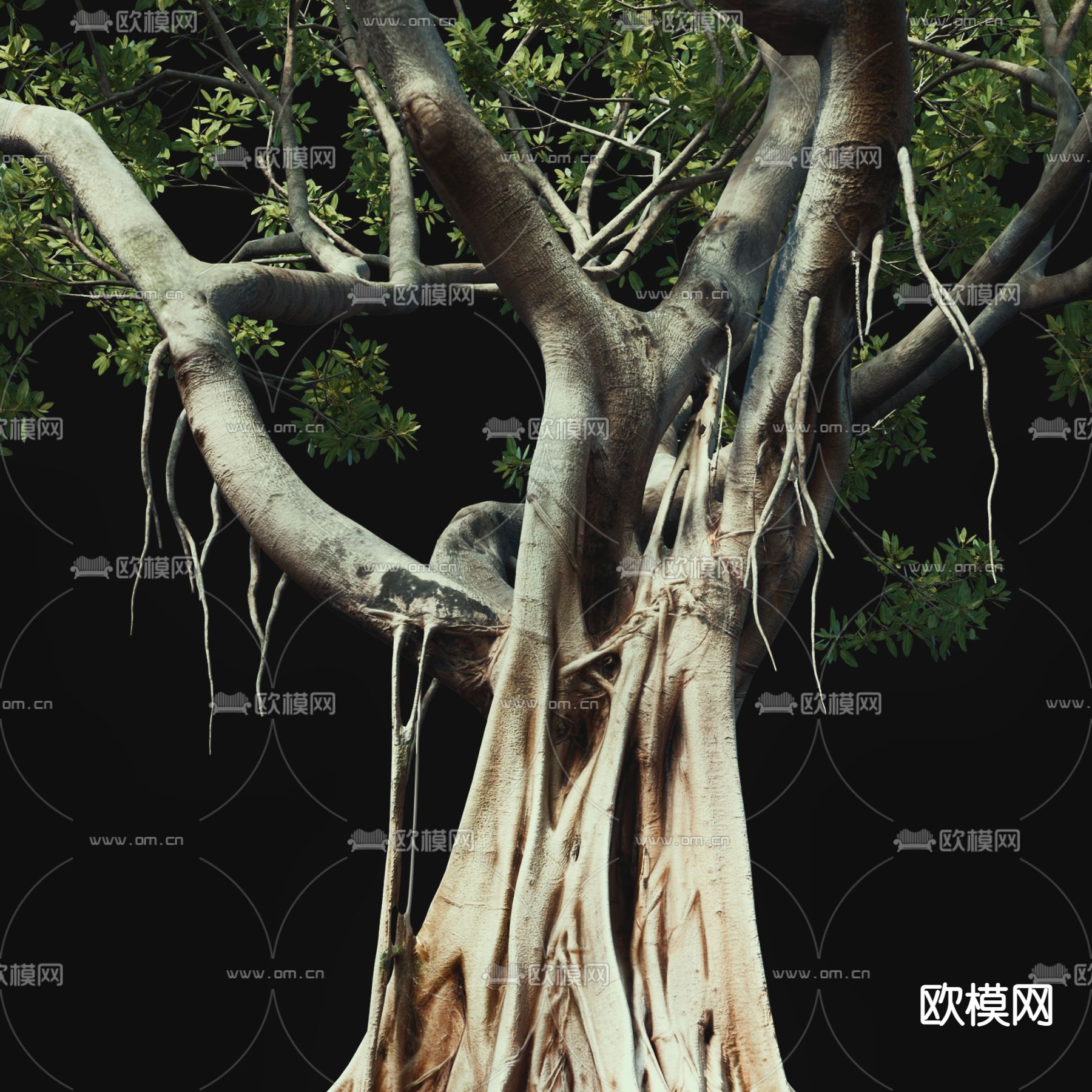 现代景观树大树3d模型